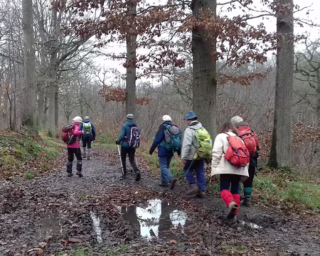 040 Le chemin vers Saint-Cyr-l’Ecole. Merci Gilles pour cette belle randonnée Nature et Culture