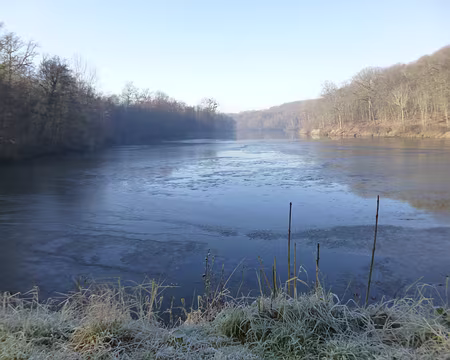 P1140660 Etang de la Geneste creusé en 1948, Buc