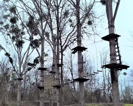 026 Parcours d’accrobranche