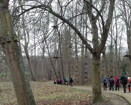 027 Le chemin au milieu du parcours