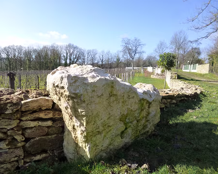 P1140681 Bloc de marnes supragypseuses