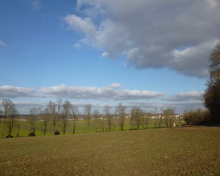P1140690 Campagne briarde à Dammartin-sur-Tigeaux. Merci à Marylise