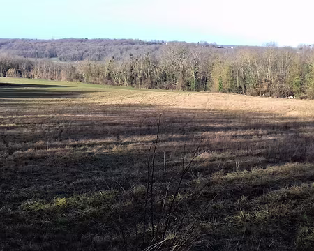 012 Campagne briarde