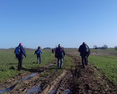 015 Il était une fois dans l’est