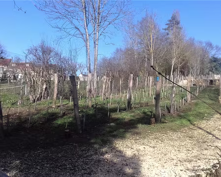 020 La parcelle de la Brosse …