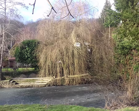 026 Les berges du Grand Morin sont un lieu idéal pour le pique-nique