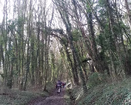 027 Montée à travers bois