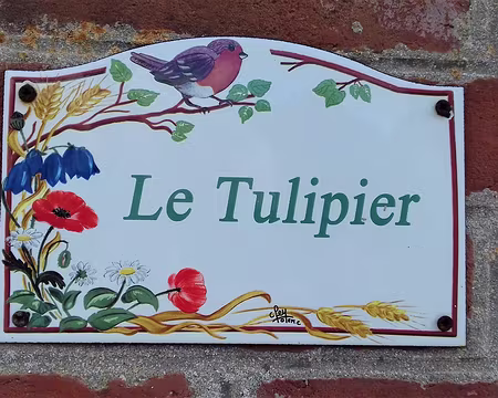 030 Rouge-gorge et fleurs des champs