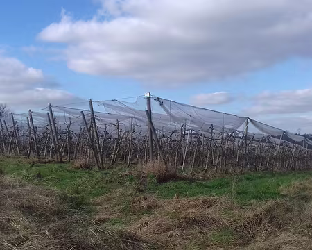 039 Les Vergers du Grand Morin