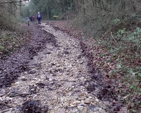 016 Descente vers Arpenty sur les silex et les feuilles mortes
