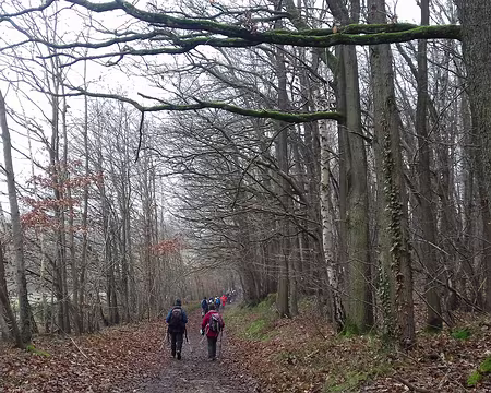 026 Chemin de lisière