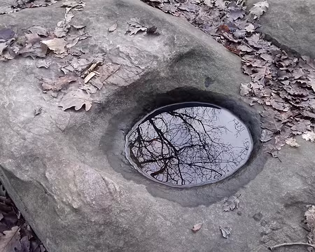 040 Naturel ou artificiel ?