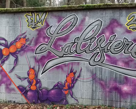 041 Au pays des fourmis …