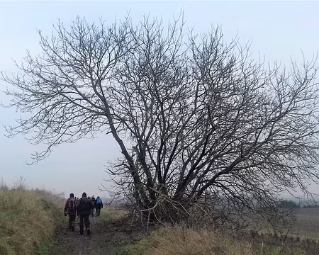 048 Retour vers Egly