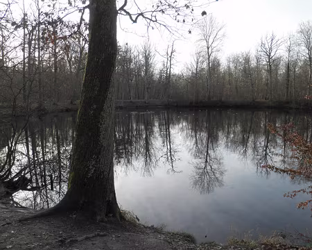 P1020099 mare aux Evées