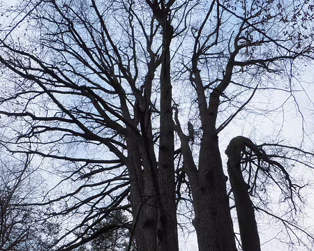 P1020121 charme remarquable