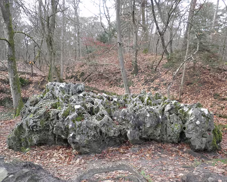 P1020143 roche Eponge