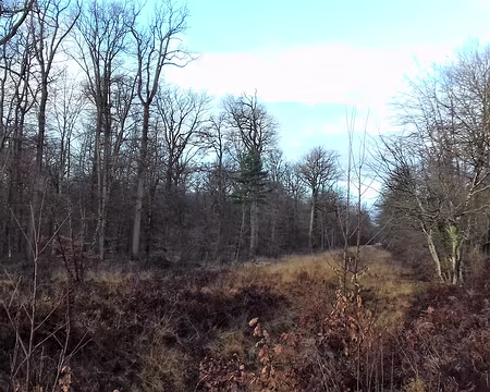004 Deux aqueducs au tracé parallèle, créés sous le Second Empire, traversent la forêt pour acheminer l’eau de source vers Paris : l’aqueduc de la Vanne (173 km),...