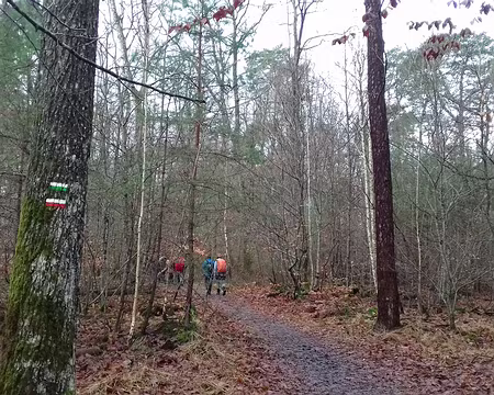 010 Le GR 11 (Tour de l’Île de France) et le TMF (Tour du Massif de Fontainebleau)