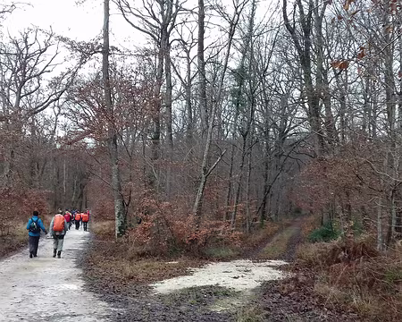 012 La route forestière des Sablons