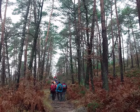 014 Montée vers la Malmontagne