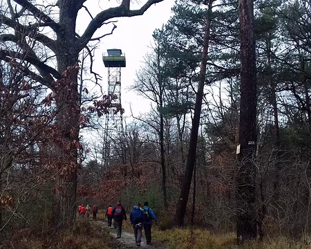 015 Ancien pylône de guet sur la route de Milady