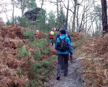 017 Montée vers le Rocher du Carrosse, au sud du Puits Fondu