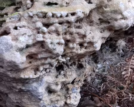 019 Gogottes (concrétions gréseuses) à la base du rocher