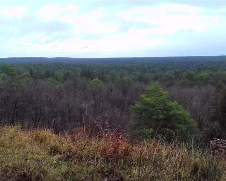 031 Panorama sur l’est de la forêt de Fontainebleau depuis le Point de Vue de l’Inspecteur Général