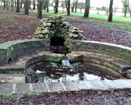 050 Fontaine près de l’allée Napoléon. Merci Michel et Eric pour cette belle randonnée en forêt de Fontainebleau
