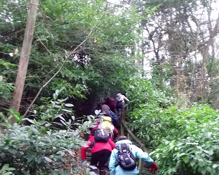 001 Départ de la Hacquinière, sur la commune de Bures-sur-Yvette (Essonne), en direction de la forêt de Gif-sur-Yvette