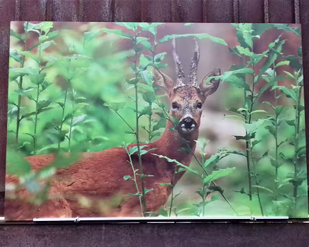 002 Arrêt sur images