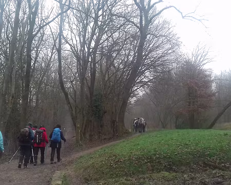 007 Chemin dans la brume