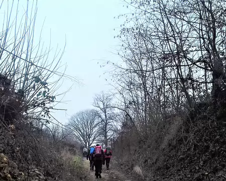 011 Chemin creux