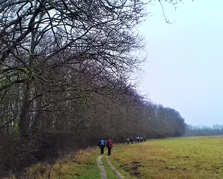 013 Chemin de lisière