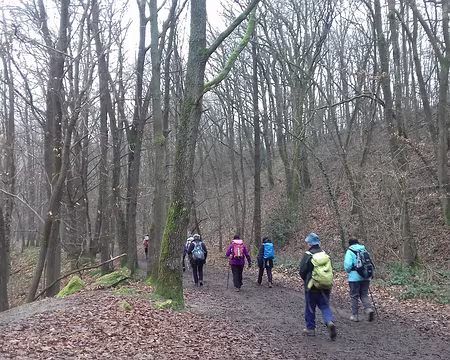 030 L’ancienne voie ferrée désaffectée, dans le bois des Fauvettes (qui a donné son nom au viaduc), a fait place à un chemin de randonnée