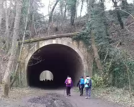 031 Le tunnel ferroviaire de Montjay dans le bois des Fauvettes