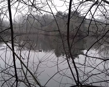 042 Reflets sur l’étang