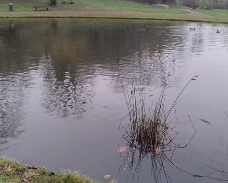 046 Le Petit Lac Rond