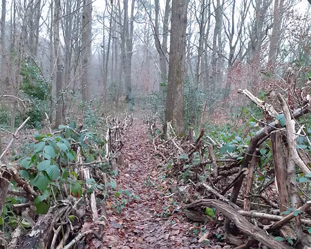 049 Un sentier à Bures