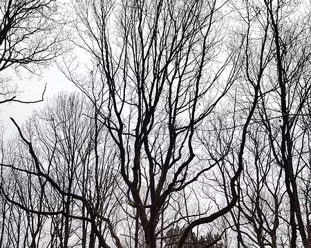 220122-RCCAF-houdan-22RC07 (3)