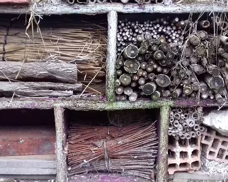 009 Un hôtel à insectes