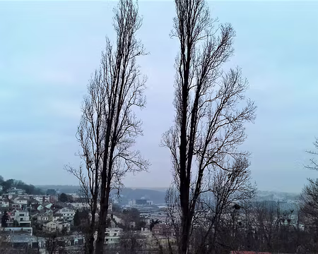 014 Vue sur la vallée de la Seine