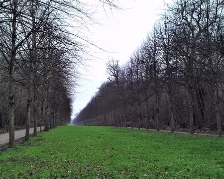 037 Le parc de Saint-Cloud