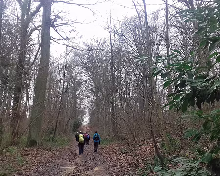 049 Dans la forêt de Meudon