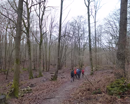 P1140597 Bois de la Kabiline
