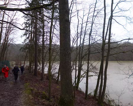 P1140598 Bois de la Kabiline