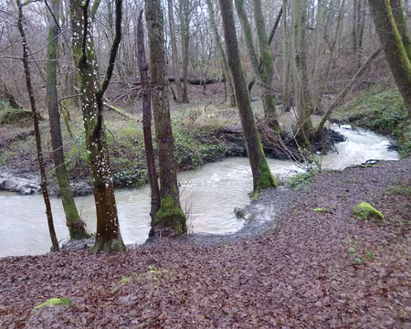 P1140604 Ru des Vaux