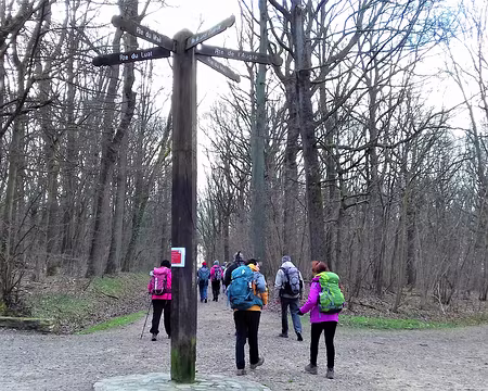 002 Le carrefour du Luat dans la forêt d’Ecouen