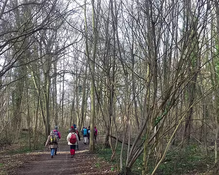 004 Un rayon de soleil